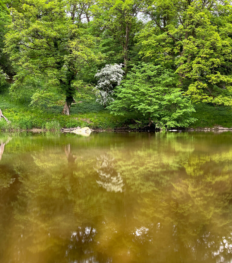 Semi Underwater Photography, Burnsall, North Yorkshire